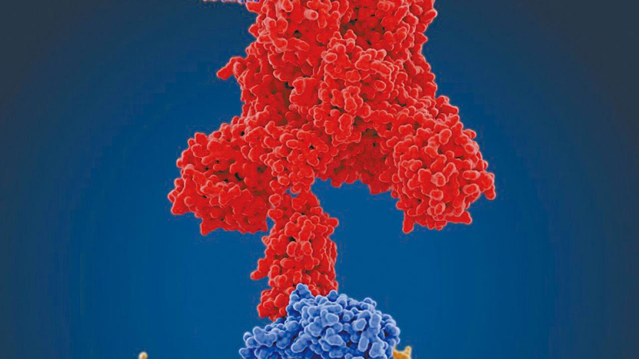 藥到病除的「病除」