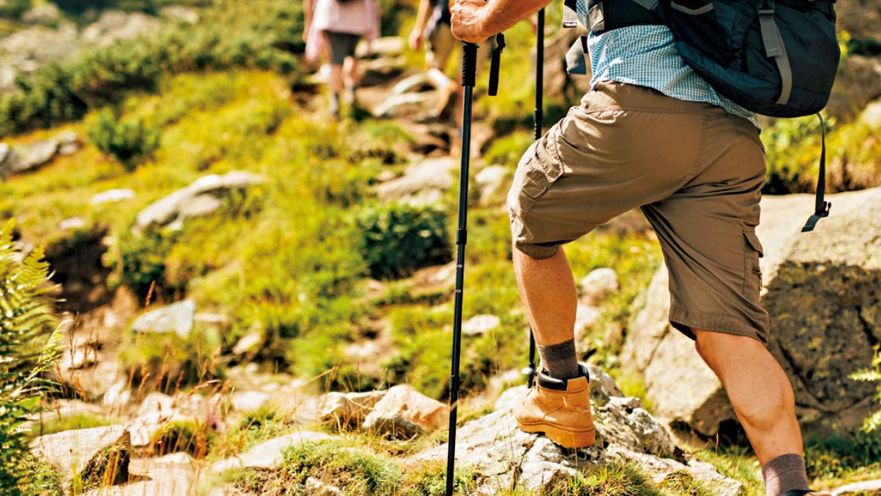 落山易傷膝 嚴重須換人工關節