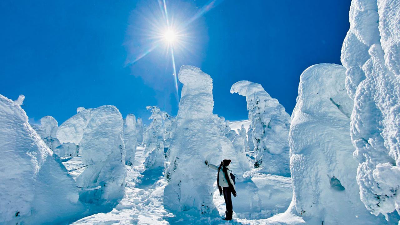 到雪國看雪怪去