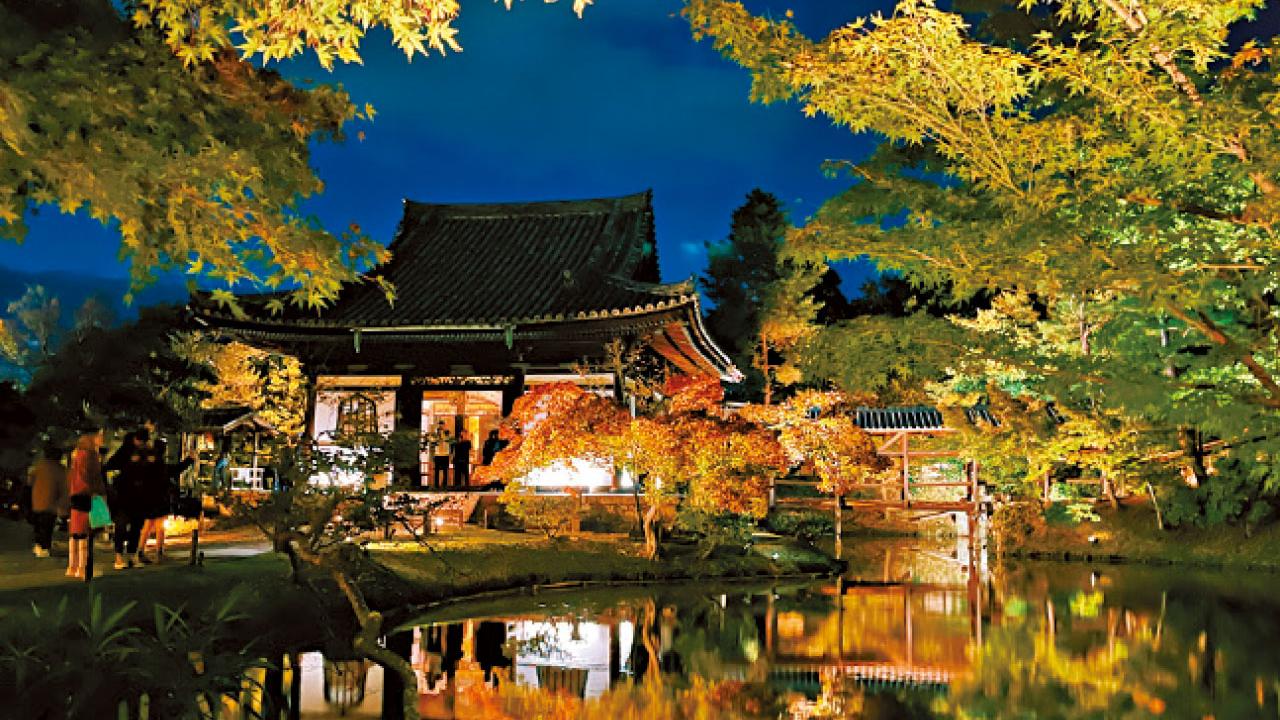 夜遊高台寺賞楓