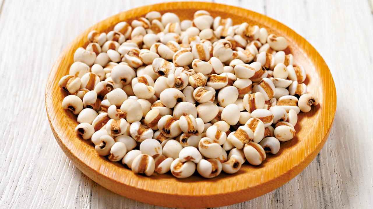 一味薏苡仁 巧祛扁平疣：古方祛疣智慧