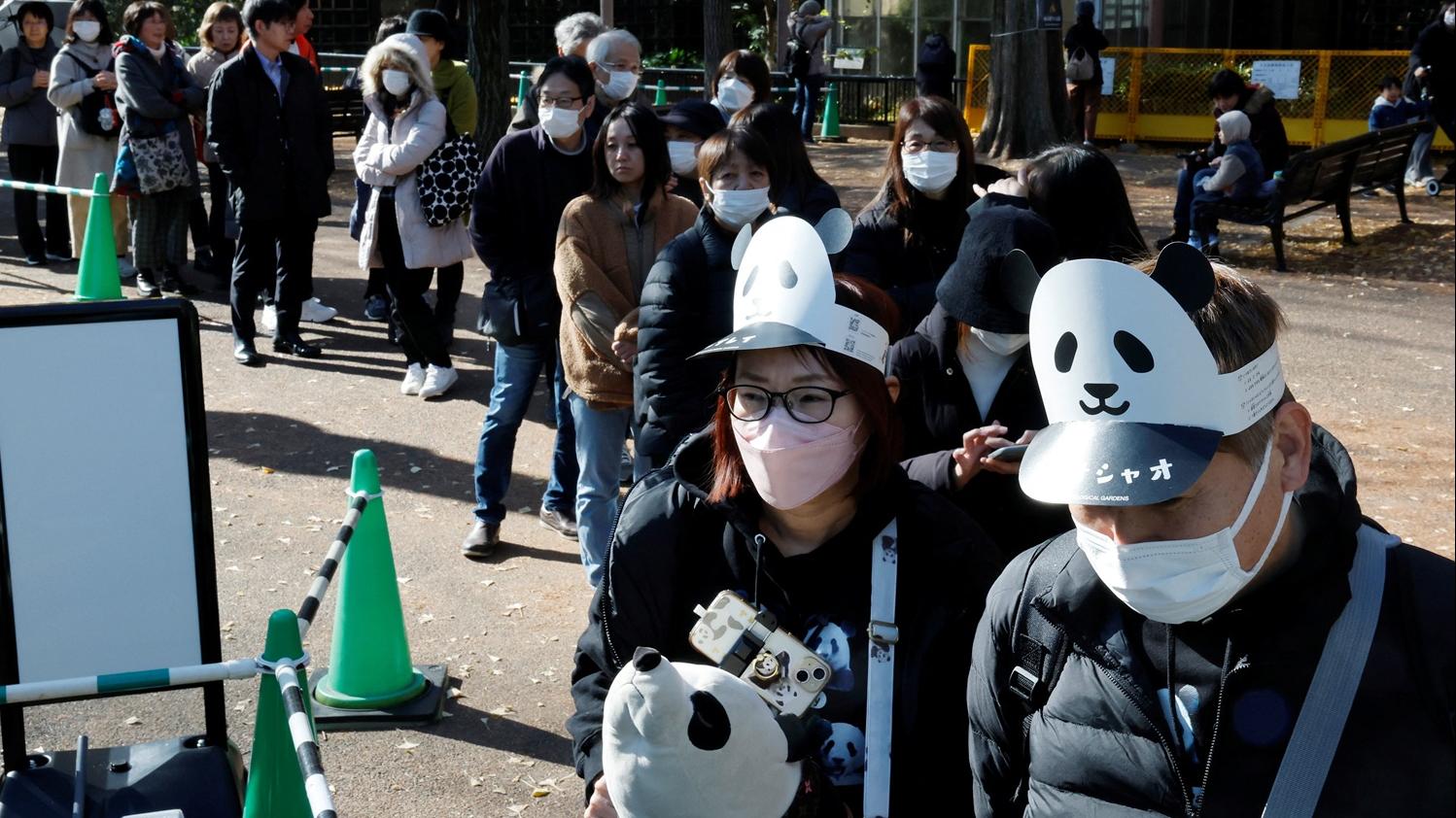 大批遊客在上野動物園排隊看熊貓。(路透社)