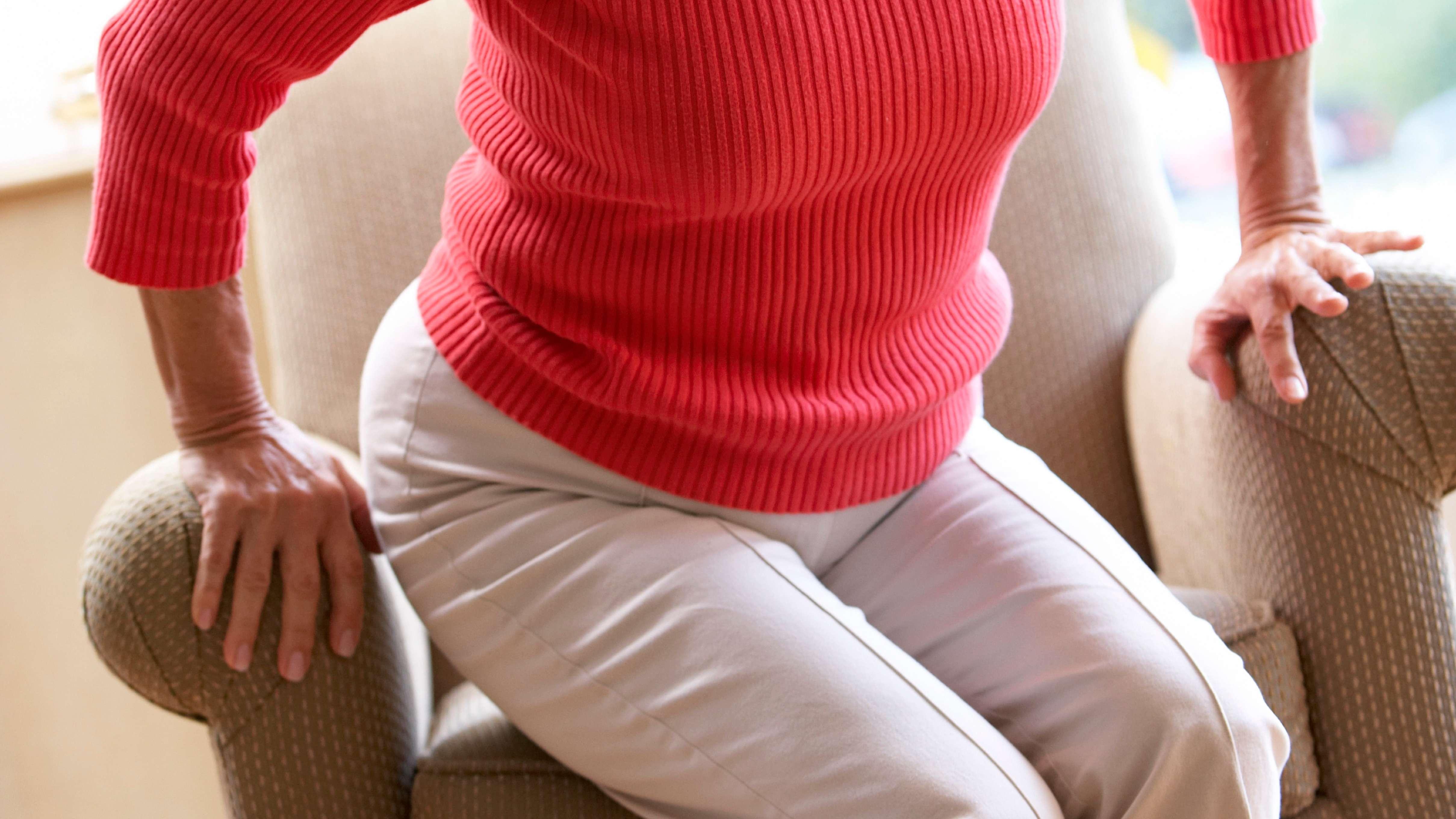 梳化 退化 死亡風險 大腦 心臟 肌肉 神經與肌肉系統 神經系統