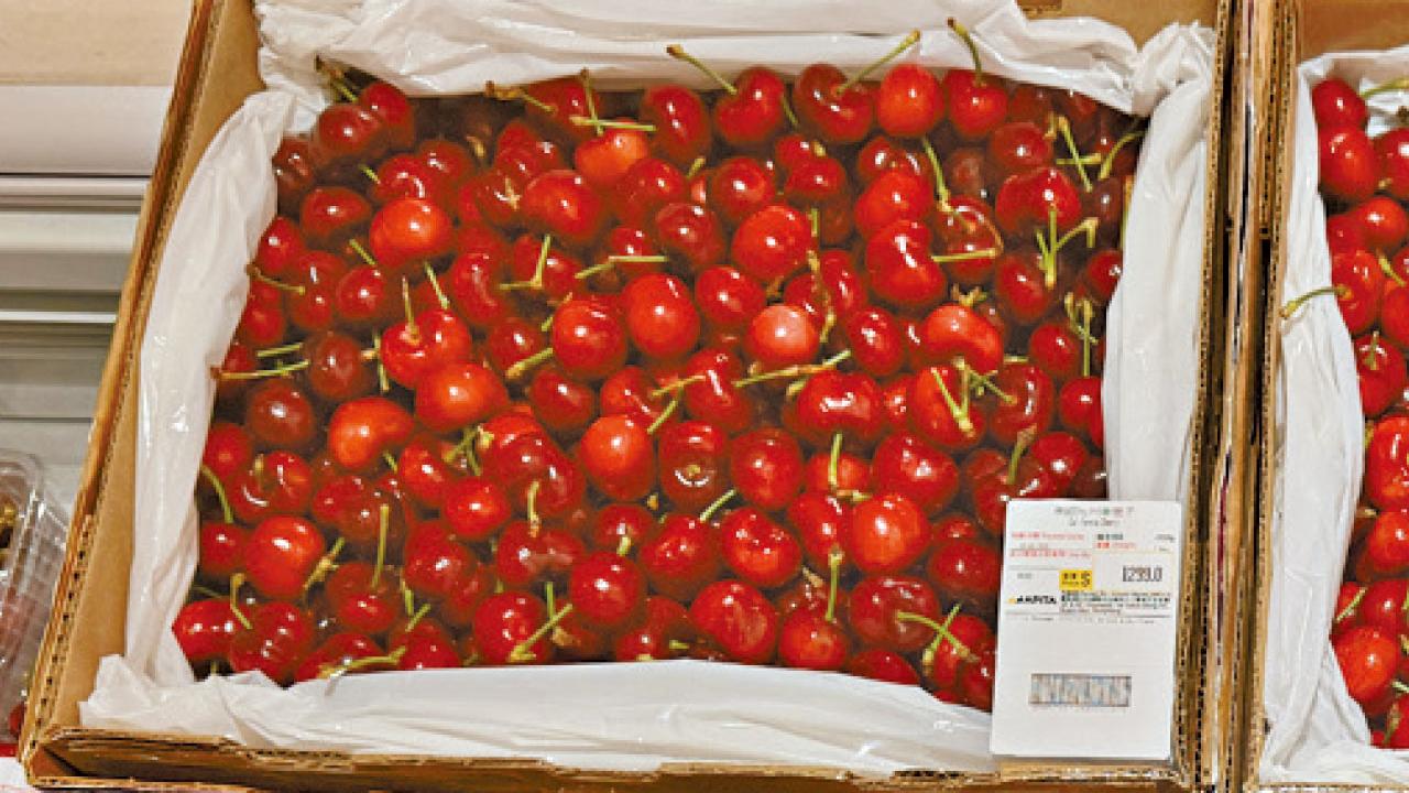 富有的貧血時代