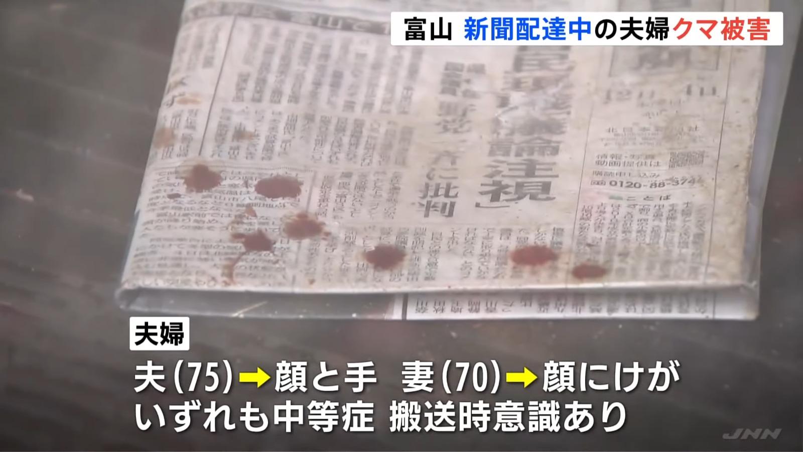 日本熊害｜單日釀4傷　富山市夫婦送報紙遇襲　長野縣老翁被抓傷