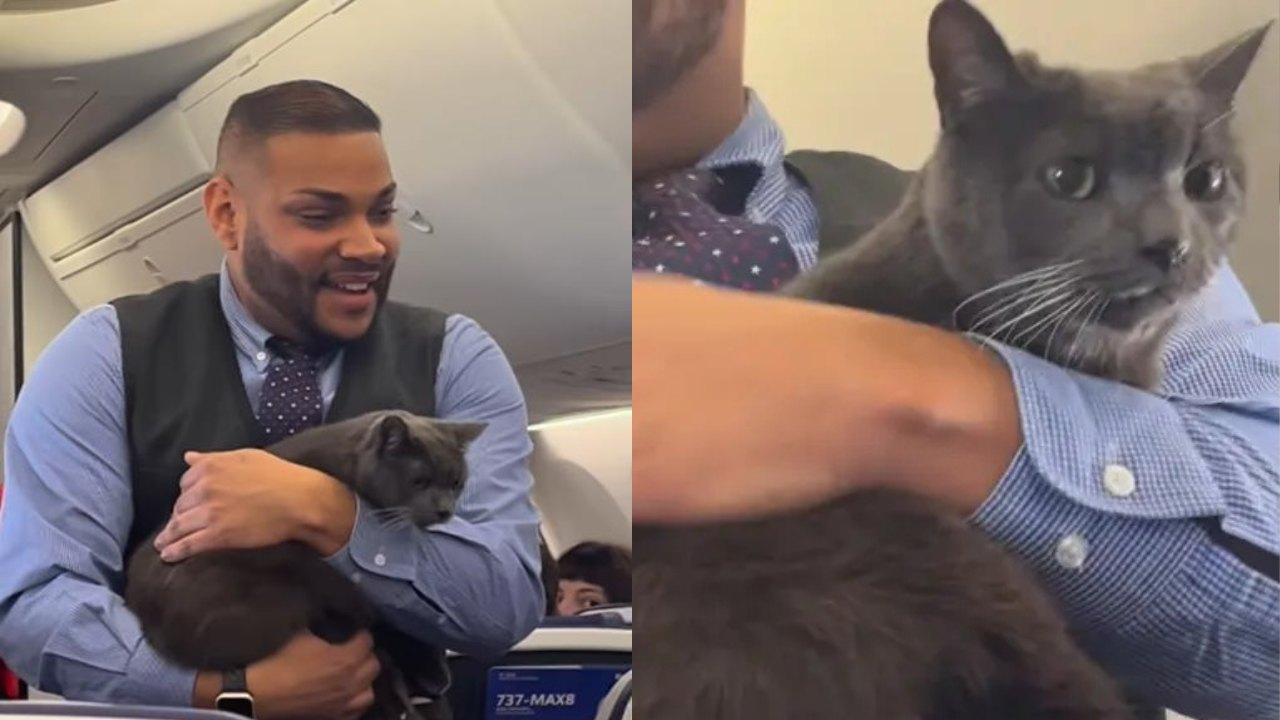 貓咪飛機上「出走」 空少溫柔抱起一同作安全示範（有片）