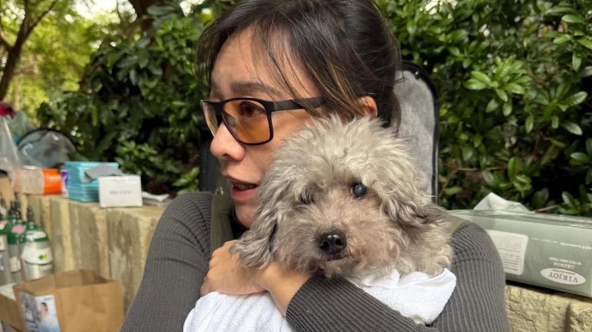 郭秀雲現身災場照顧獲救毛孩 攬實受驚貴婦狗寵主發文感激