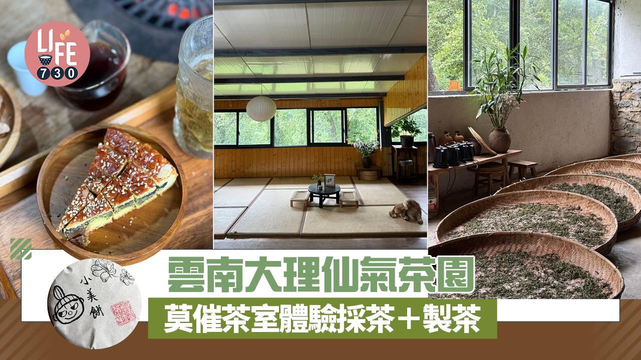 雲南旅遊必去景點｜雲南大理仙氣茶園 莫催茶室採茶製茶