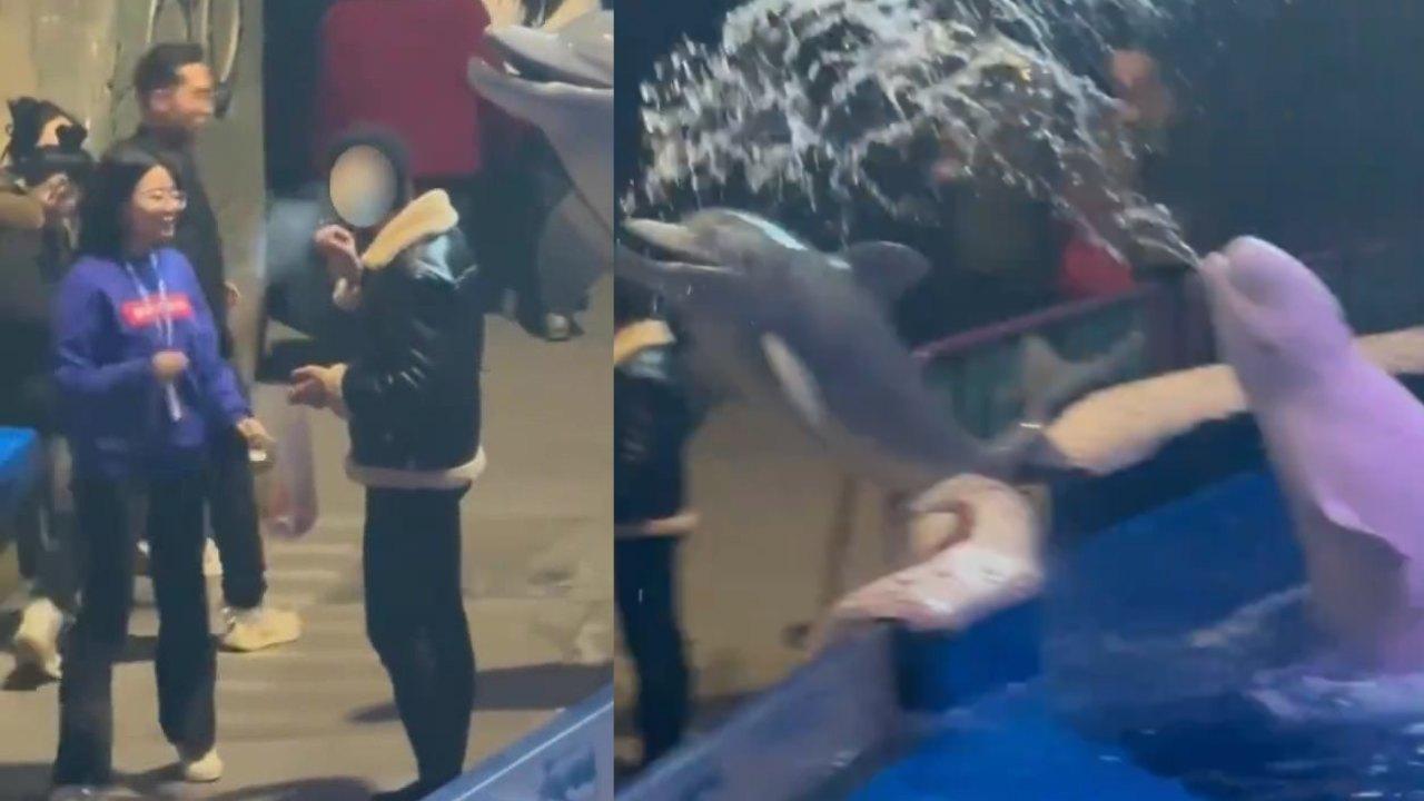 水族館內無視勸阻吸煙　男子遭白鯨噴水淋濕狼狽離場（有片）
