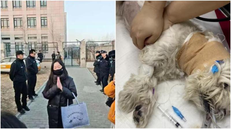 被害寵物犬女主人李女士向支持者致謝。（圖／翻攝上游新聞）