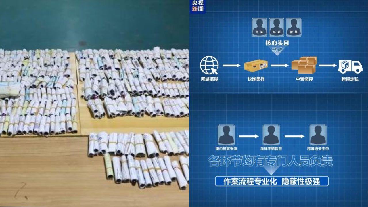 走私孕婦血液案被廣州海關破獲 10萬份樣本涉3000萬（央視新聞）