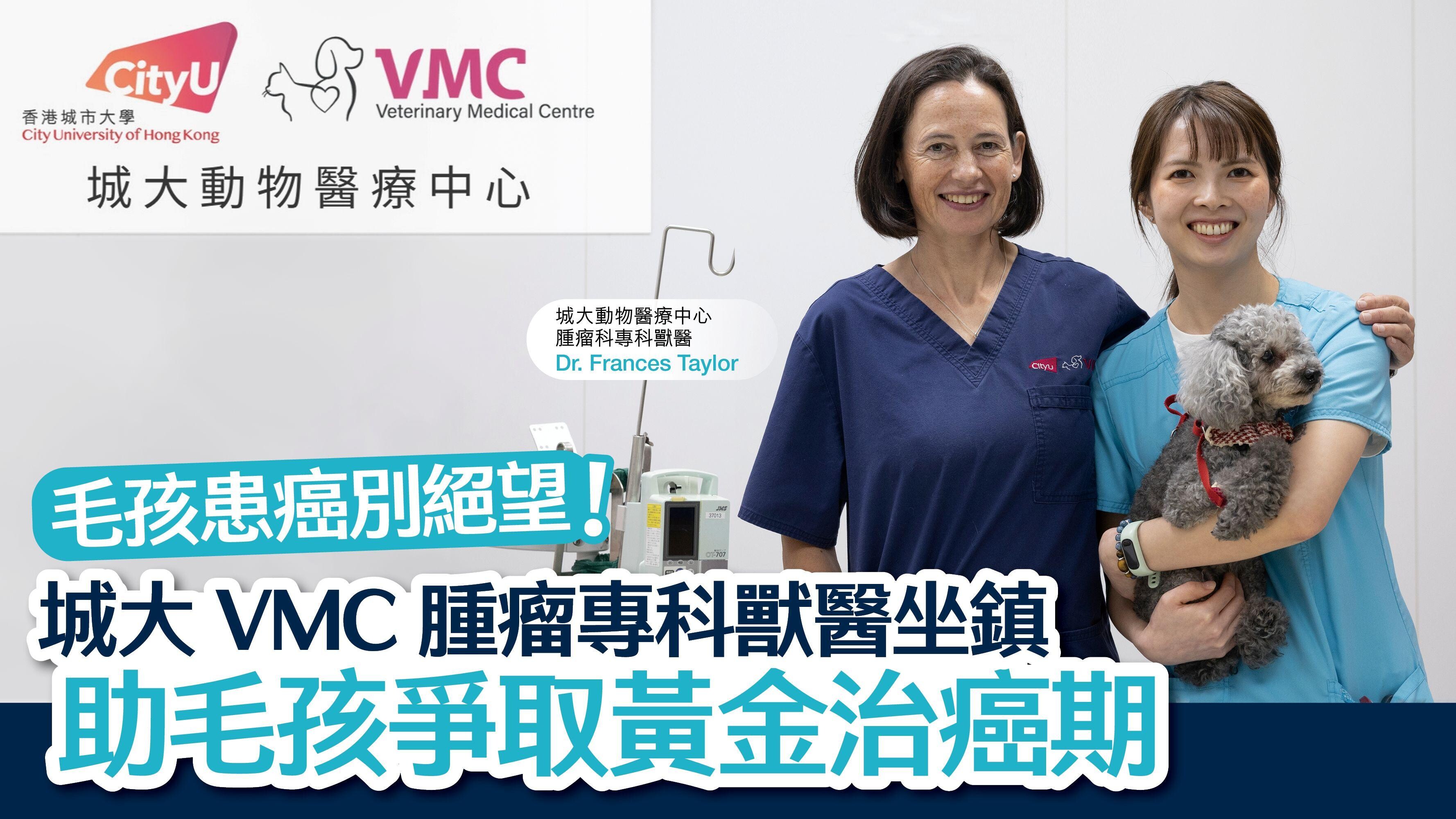 毛孩患癌別絕望！城大VMC腫瘤專科獸醫坐鎮 助毛孩爭取黃金治癌期