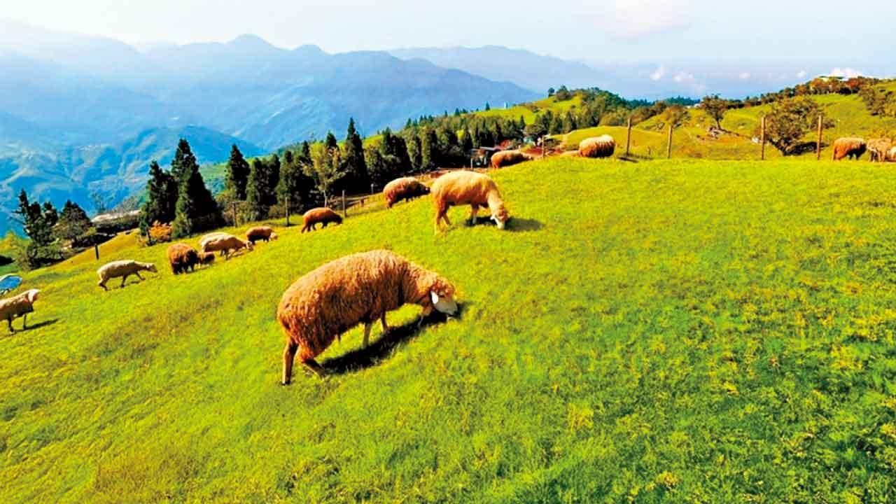 新年想衝出香港？ 三大精選旅行團 玩出不一樣的新年！