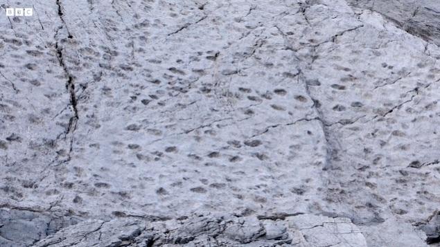 英國BBC報道，意大利弗雷萊谷(Valle di Fraele)岩壁上留下數千恐龍腳印。(互聯網)