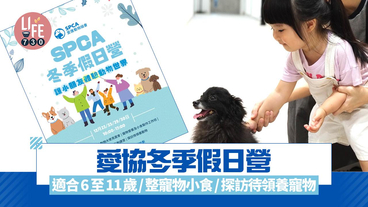 愛協冬季假日營 適合6至11歲/整寵物小食/探訪待領養寵物