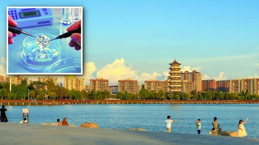 鑽石能人工培育？河南這小縣把鑽石變成「白菜價」！