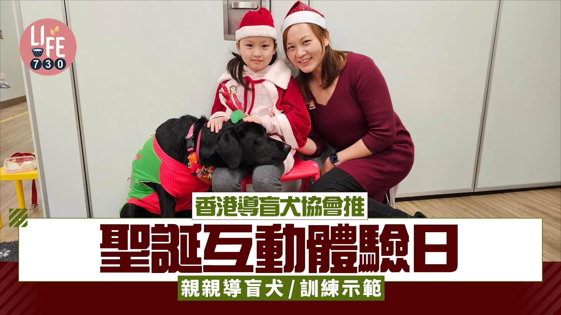 香港導盲犬協會推聖誕互動體驗日 親親導盲犬/訓練示範 （附報名連結）