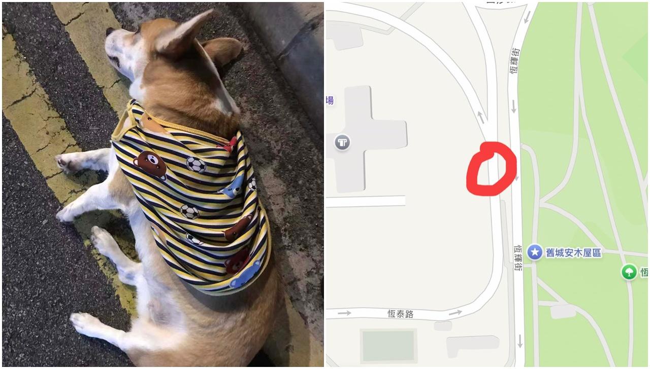 @FB Kray Ronald 圖片