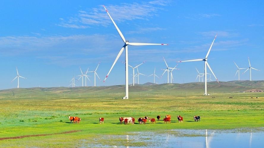 中國省區簡稱都是單字 只有一例外 3個字！