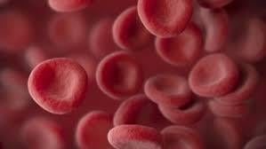 中醫治療小球性紅血球貧血