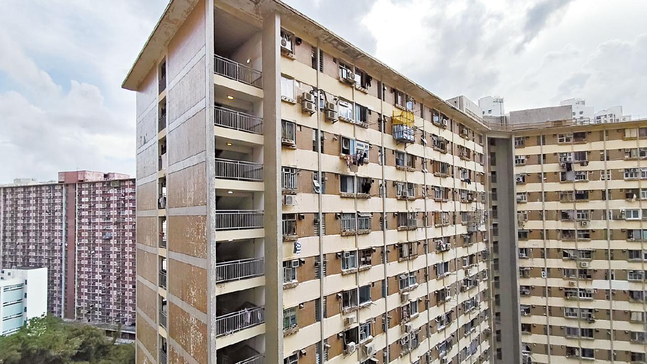 議員稱招標妥已遭「偵破」 籲政府介入大廈管理