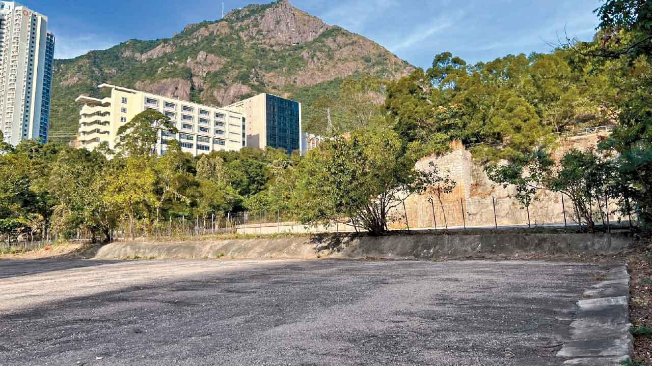 樓市大好友！信置財團16億中標彩興路 5個月奪兩地