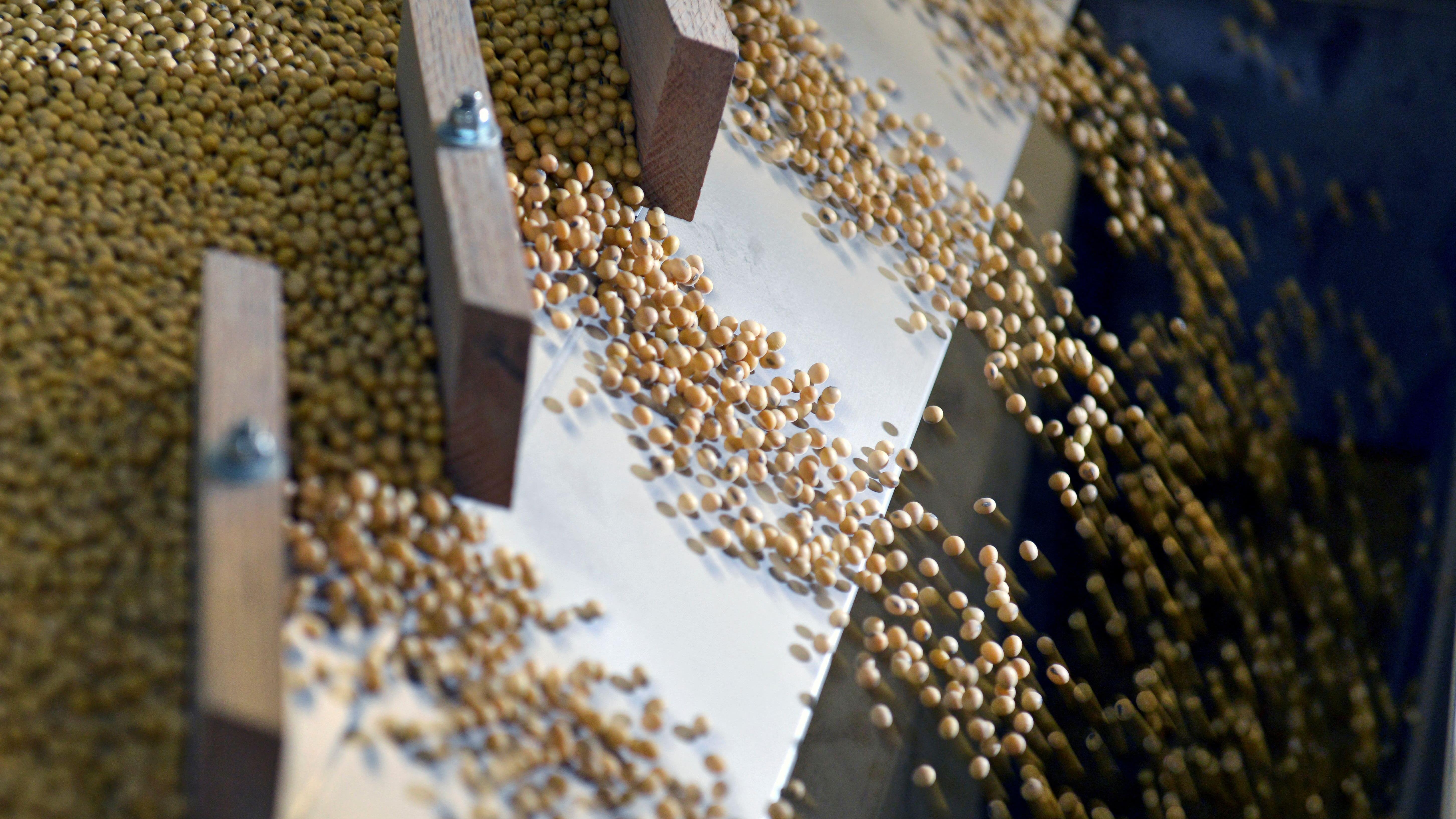 據報中國再購60萬噸美國大豆  總計購入近1000萬噸