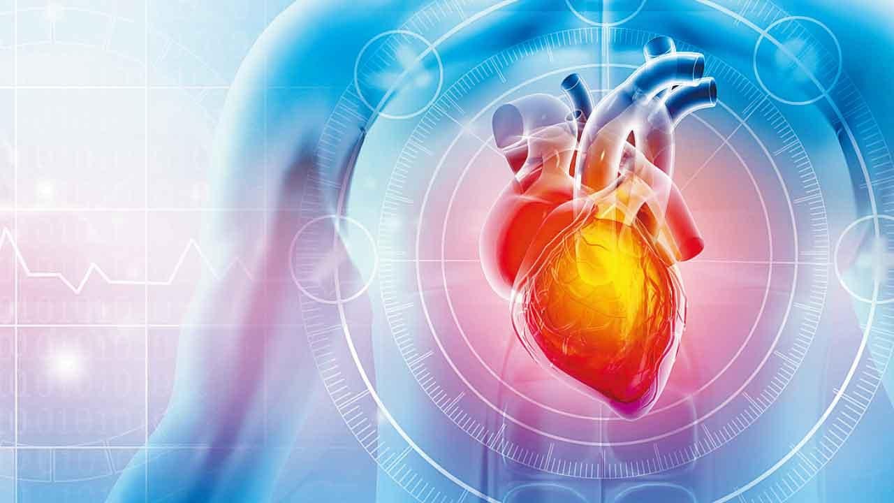 中大首揭再生機制 心臟病或醫得返