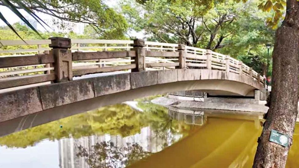 藍地水塘鯉魚精