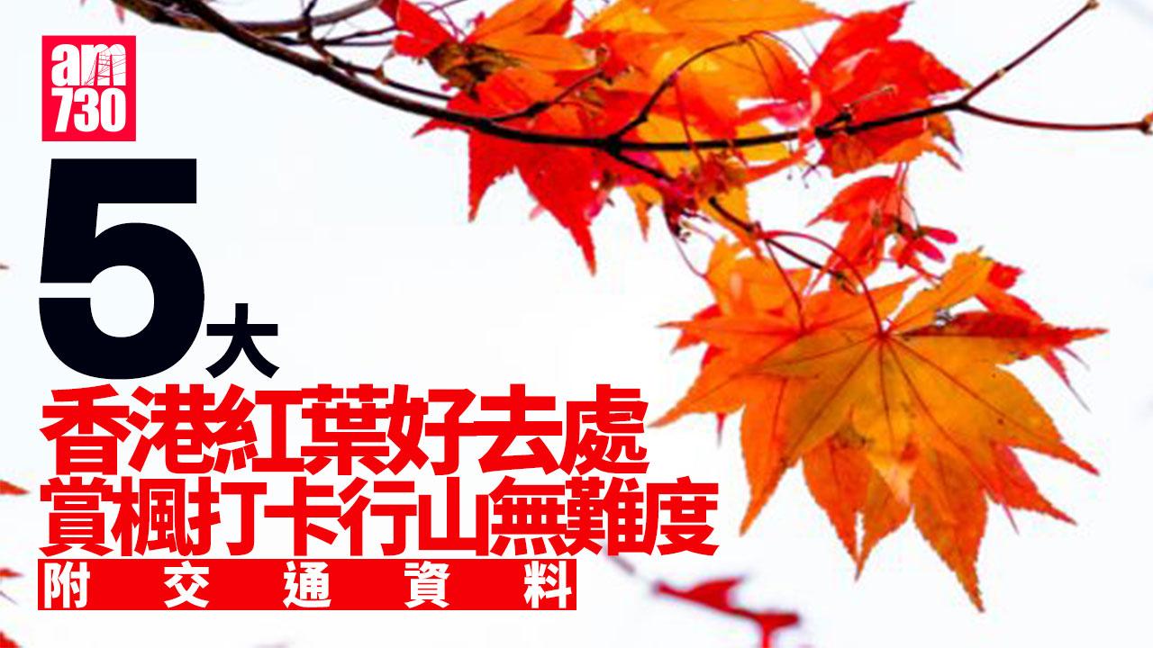 紅葉｜大棠、中大未圓湖、青衣公園等5個好去處（am730製圖）