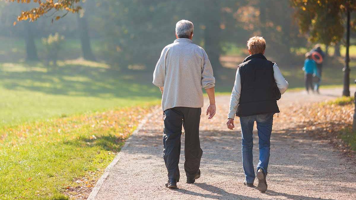 「微創導管二尖瓣夾合術」是一項經導管進行的微創技術，透過股靜脈進入心臟，並在超音波引導下以特殊夾具夾合二尖瓣，降低逆流量。