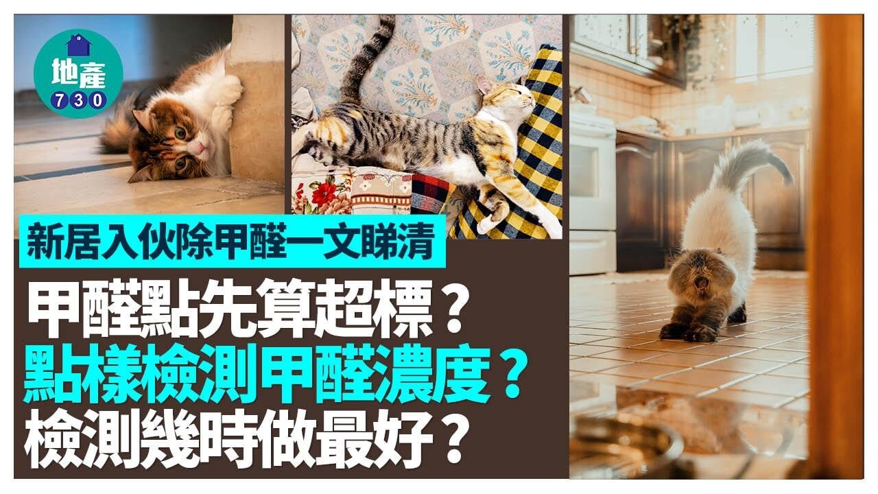甲醛檢測幾時做最好? 3個方法各有優點缺點 超標濃度標準一文睇清（am730製圖）