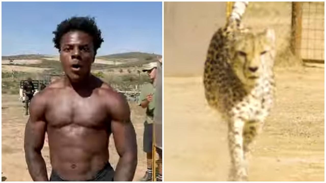 美國網紅IShowSpeed與獵豹鬥快，未開跑先見血。(FB)