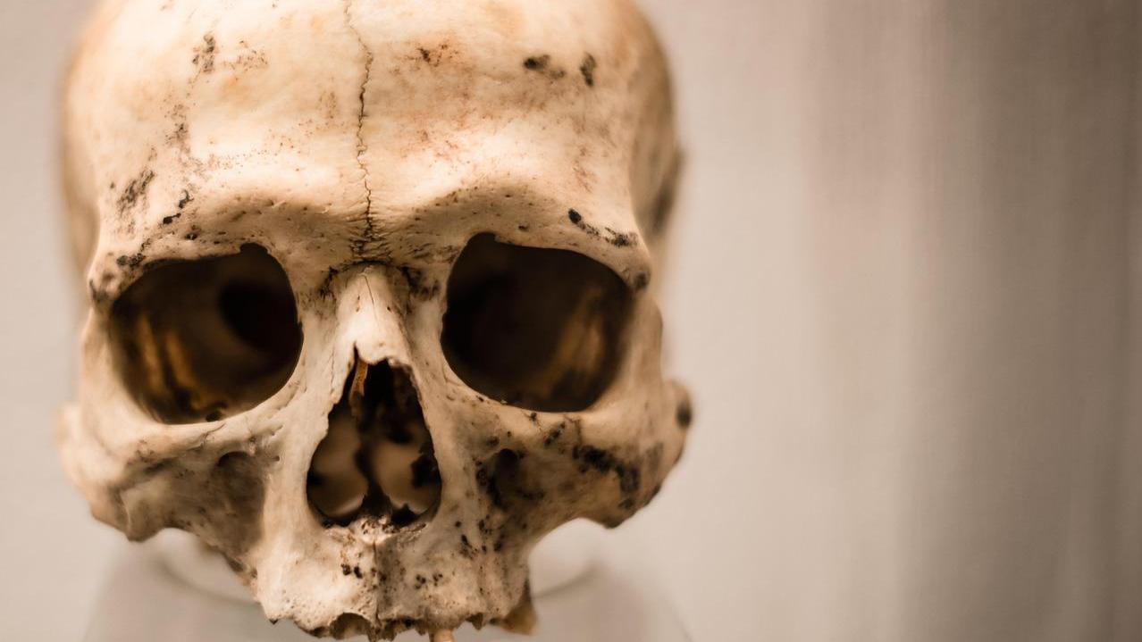 盜墓｜美國男子專偷遺體　家中被搜出過百顆頭骨。（示意圖／PIXABAY）