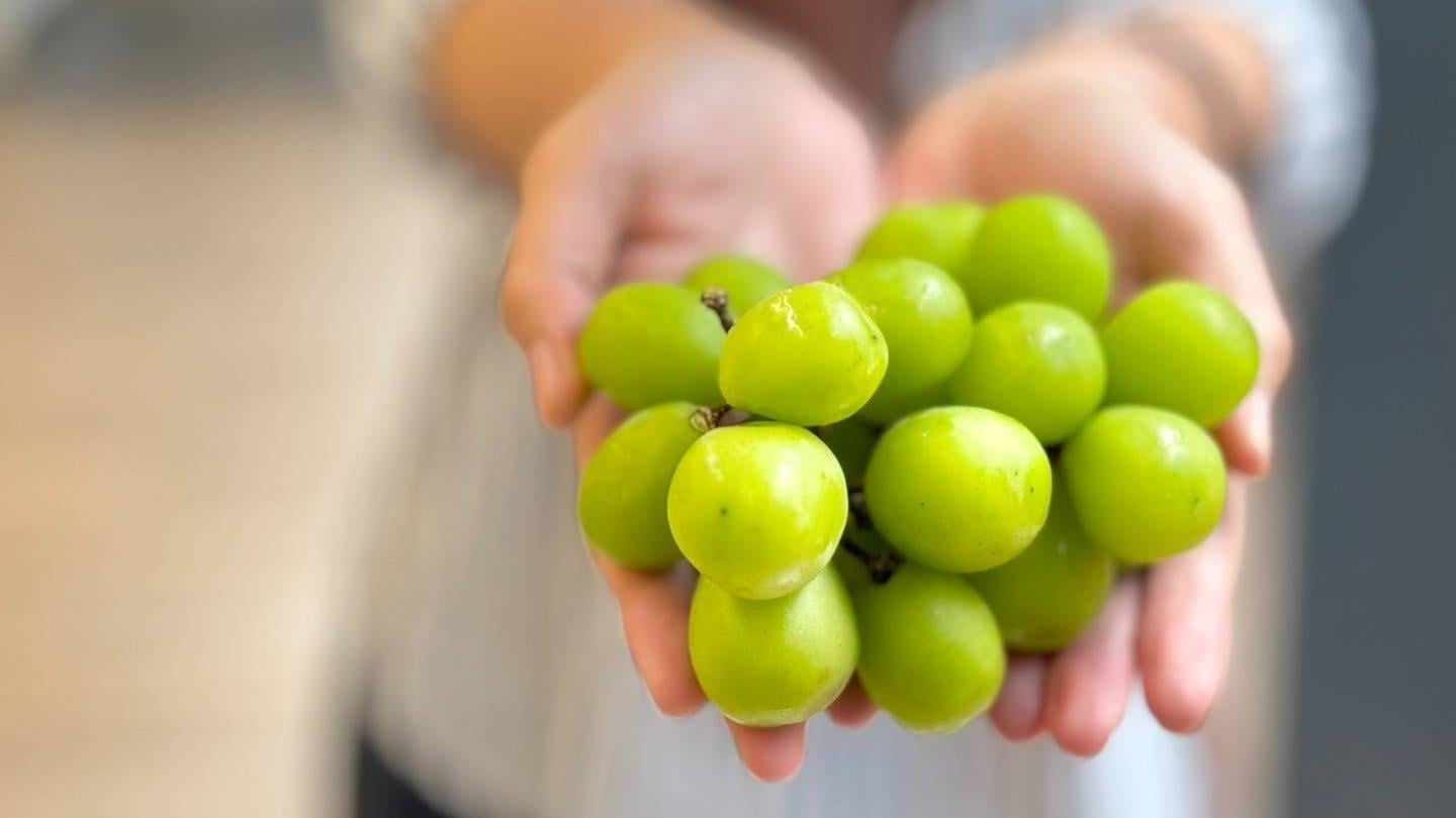 專家表示，紫、青葡萄各有特色，外皮不同顏色代表多酚類等植化素含量的差異。
