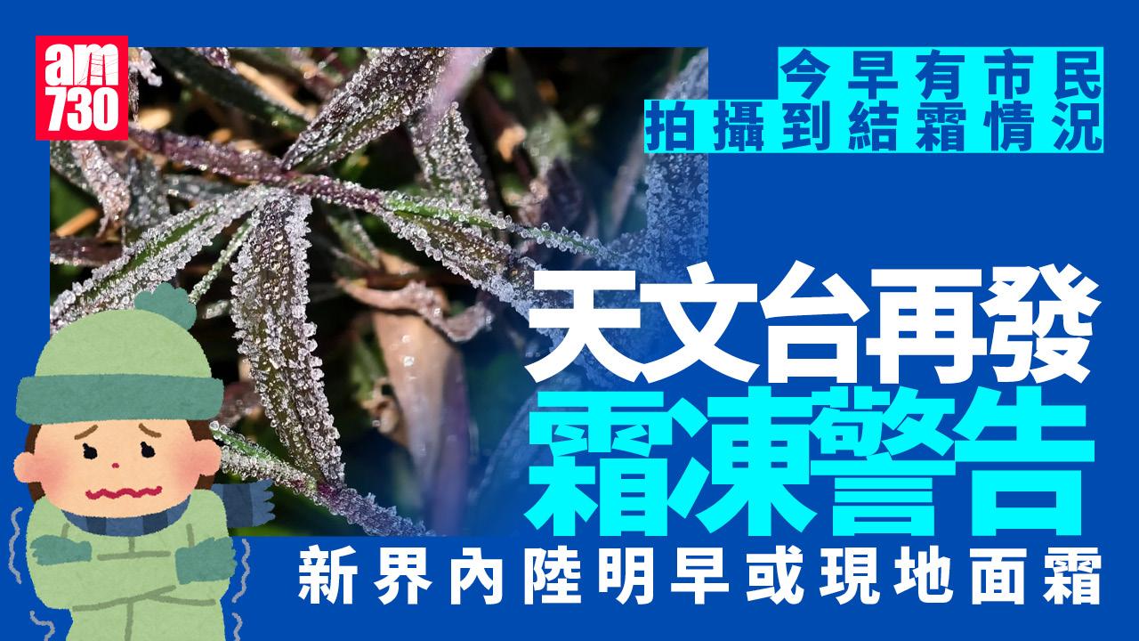 天氣｜天文台再發霜凍警告 大埔粉嶺今早現白霜(有片)