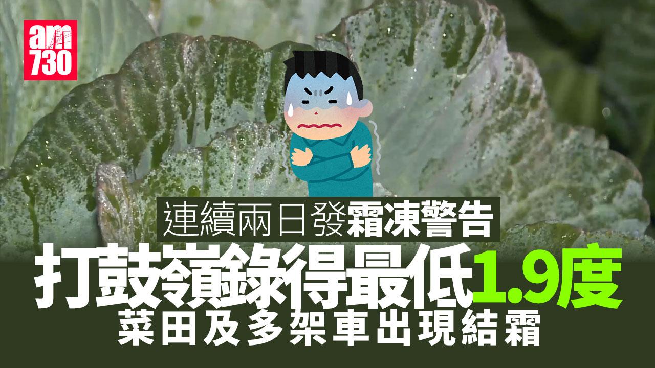 霜凍警告生效　粉嶺菜田及多架車出現結霜