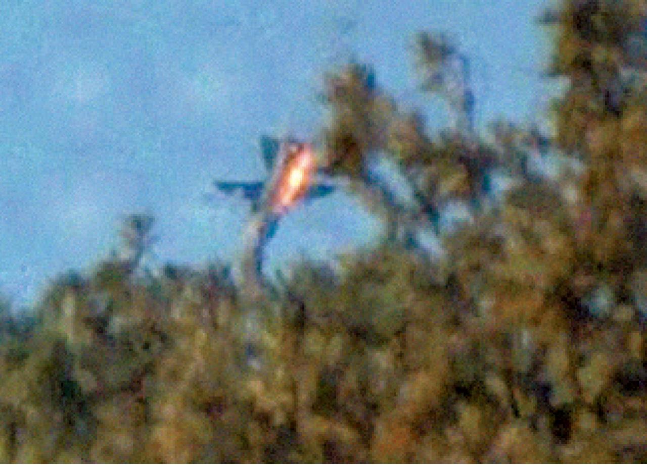 網爆擊落犯境緬軍機 國防部指純屬虛構