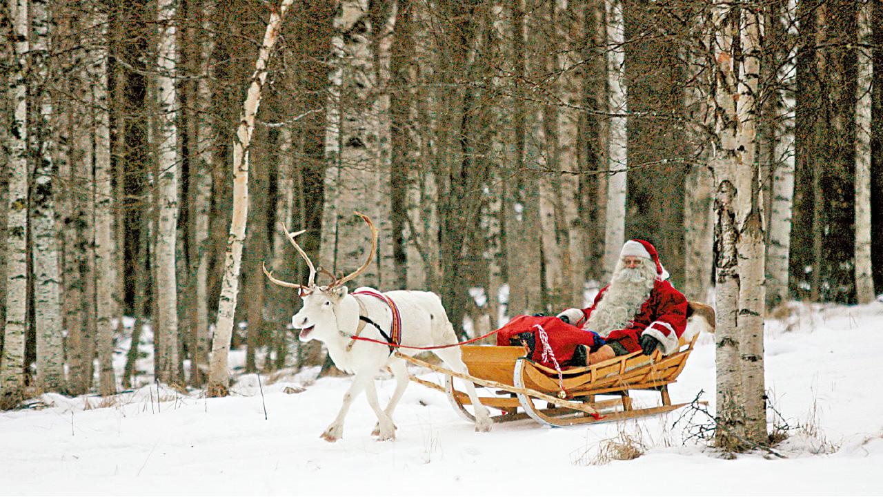 暖化減食糧 母鹿難養胎 馴鹿體重 縮水12%