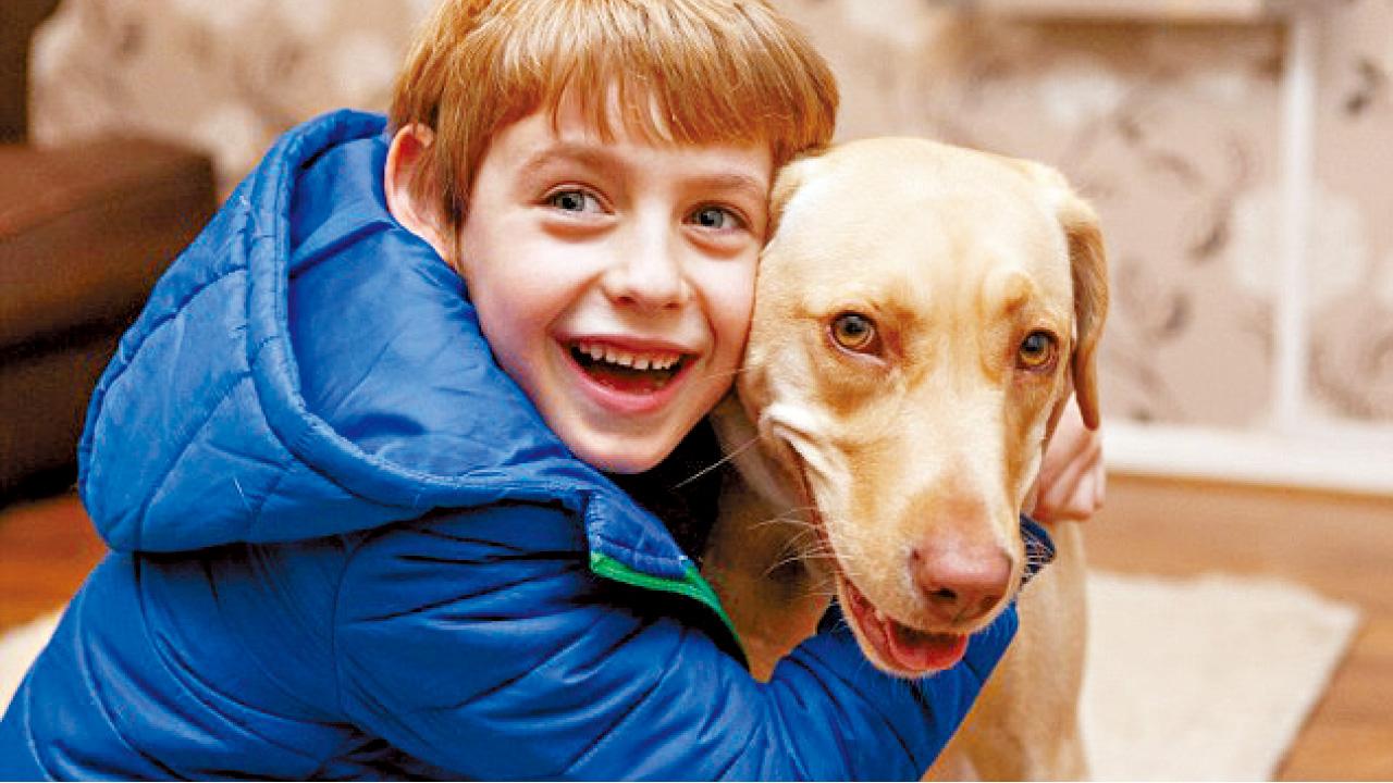 心臟病頻發 狗命懸一線 專家網民聯手拯救