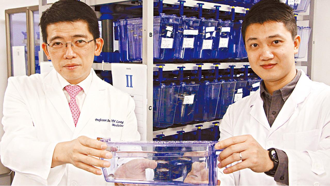 拆解癌症基因病毒秘密 港大兩學者奪醫學科研獎