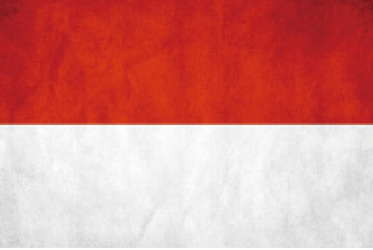 【東南亞足球錦標賽】軍情花絮~帶刀待衛 柏蘭迪搶鏡