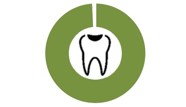 立法會秘書處研究 長者牙科服務不足 