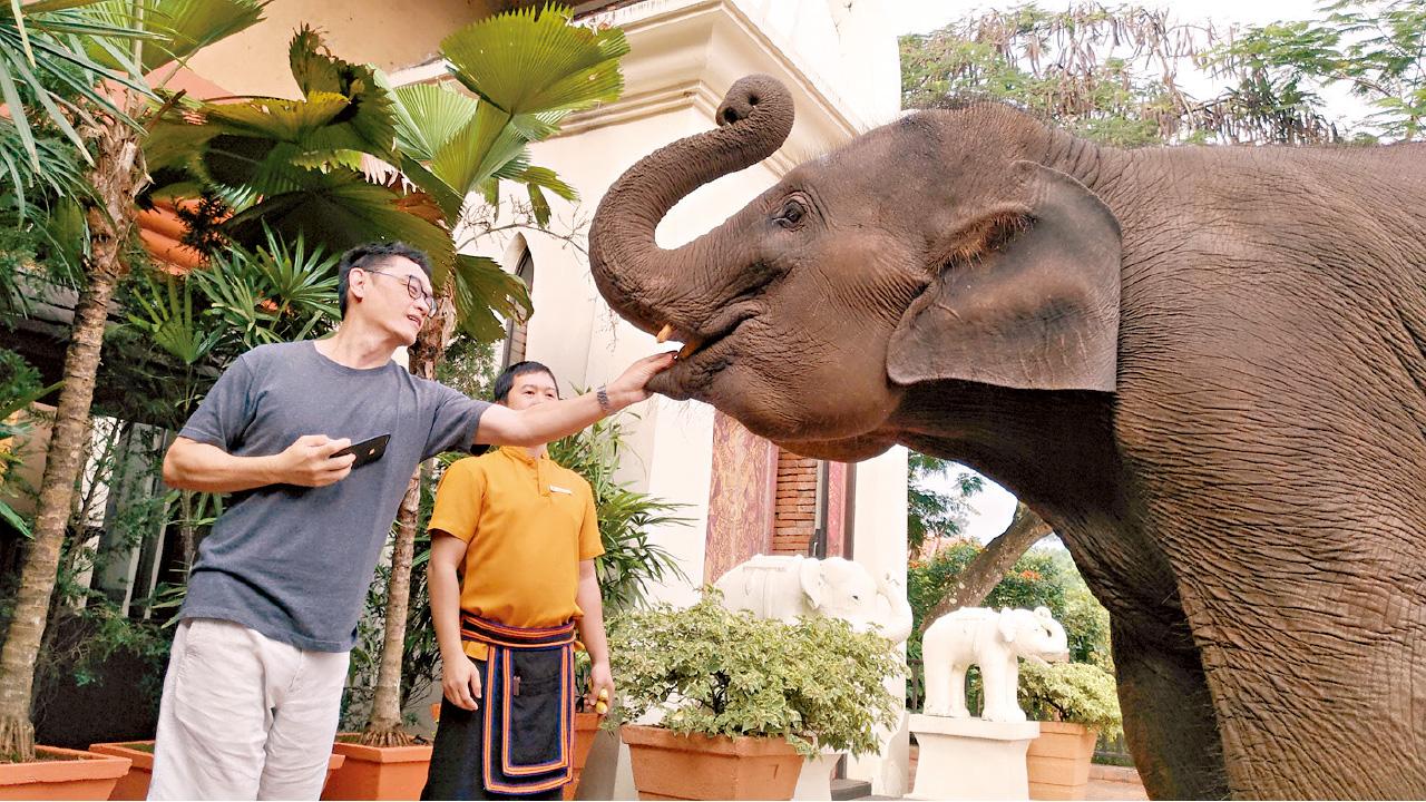 金三角 與象同行(下)