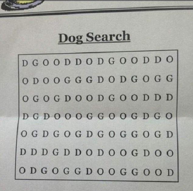 眼力挑戰 尋找狗狗