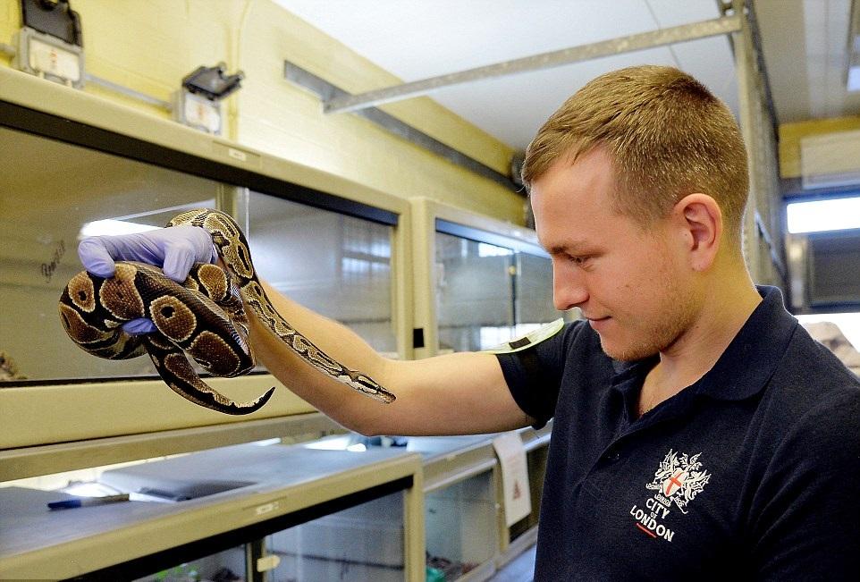 客運站動物園 年接8000萬過客