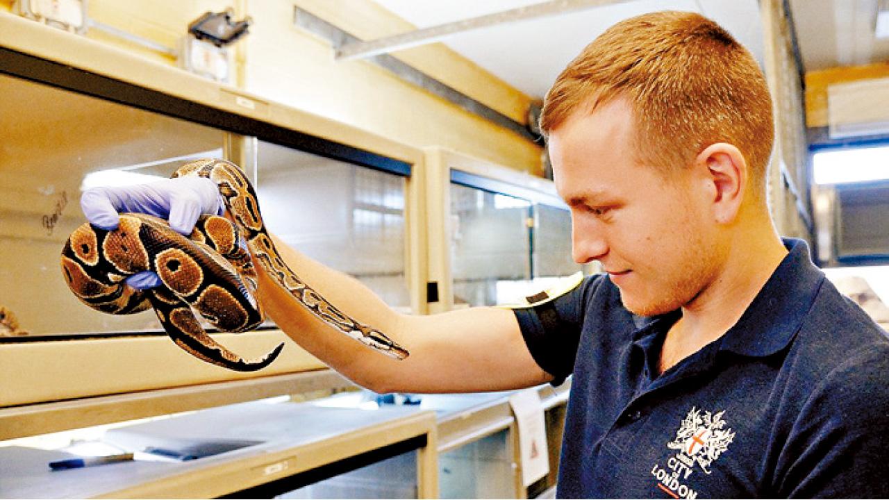 客運站動物園 年接8000萬過客