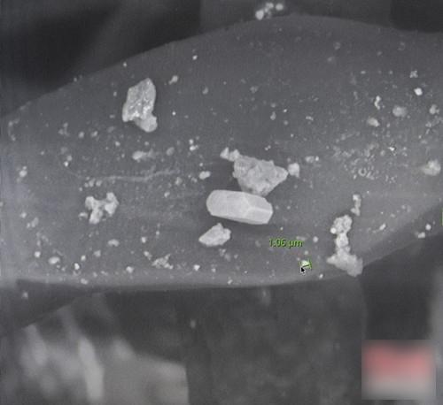 防霾鼻罩用10日發黑 顯微鏡下睇霧霾粒