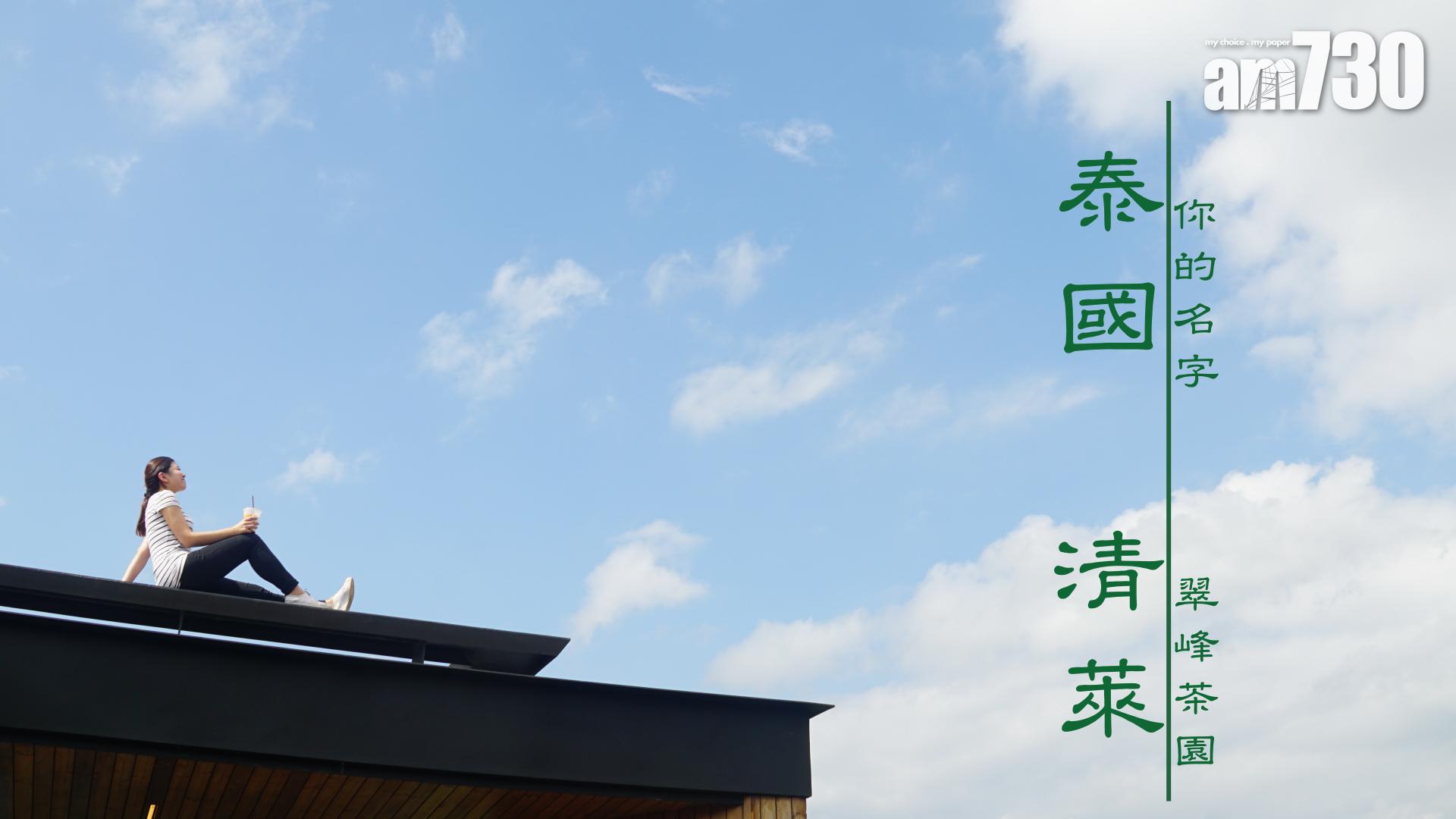 泰國清萊 你的名字……翠峰茶園