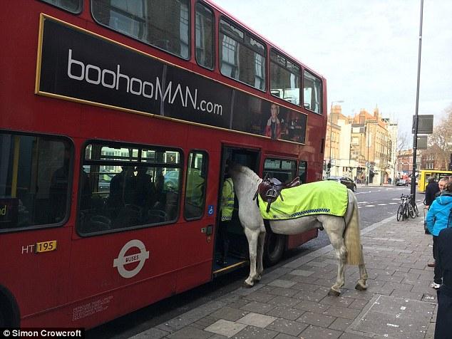 警駒逼巴士 耐人尋味